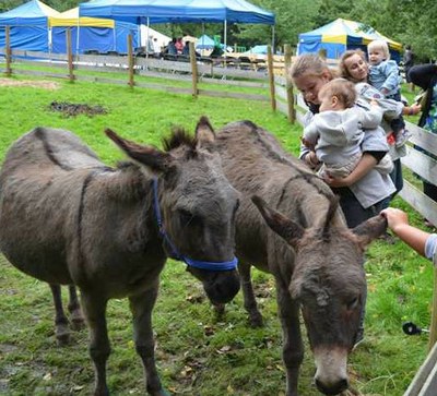 Animator Kinderboerderij