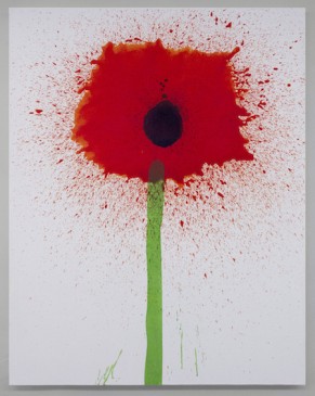 Red Poppy