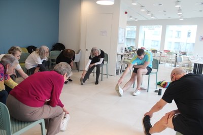 Turnles Lemaire Turnles Lemaire